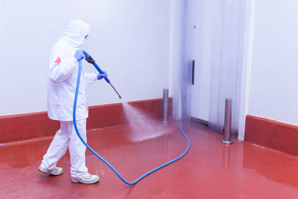 Best Driveway Pressure Washing  in Nashville, IN