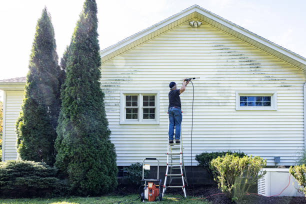Best Sidewalk and Walkway Cleaning  in Nashville, IN