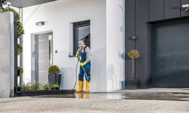Best Gutter Cleaning  in Nashville, IN